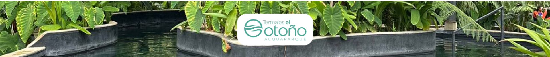 Termales el otoño Banner